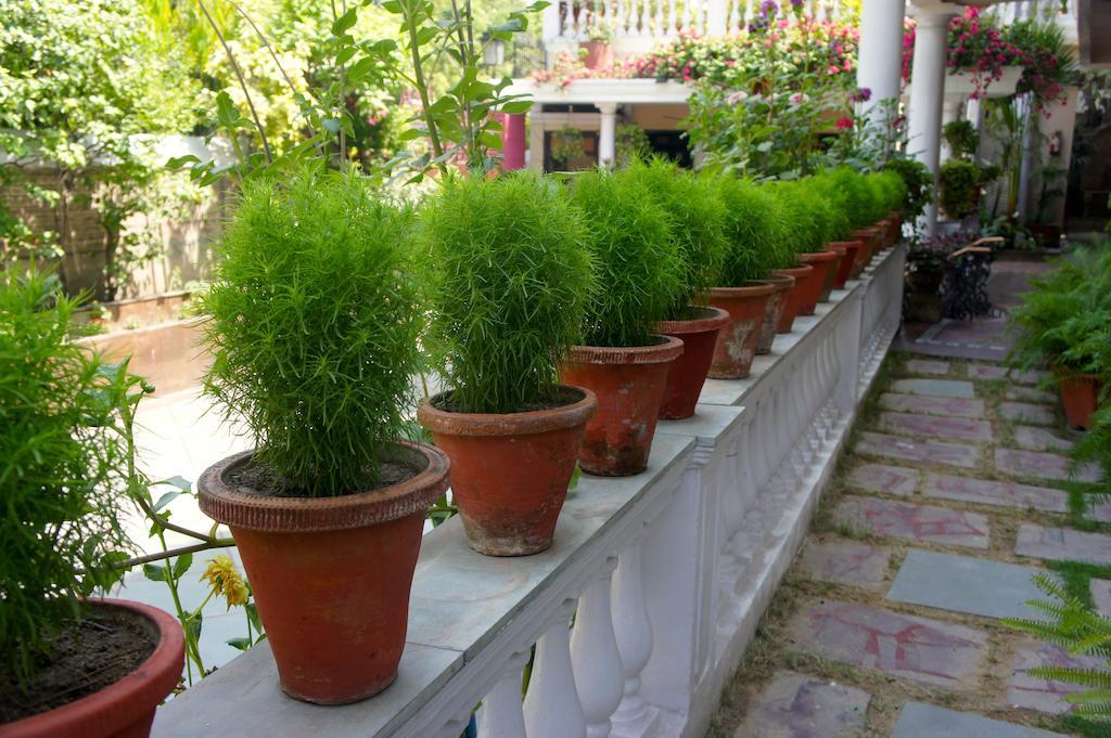 Sirohi House Ню Делхи Екстериор снимка